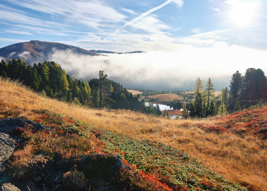 Sonnenlicht über dem herbstlichen Hochmoor an der Nockalmstraße in Kärnten – professionelle Landschaftsfotografie von Atelier Schulte, Fotograf Florian Schulte, österreichweit und über die Grenzen hinaus.