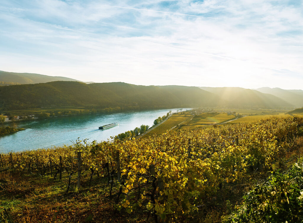 Herbstliche Lichtstimmung in der Wachau bei Loiben – professionelle Landschaftsfotografie für Tourismus und Destinationen