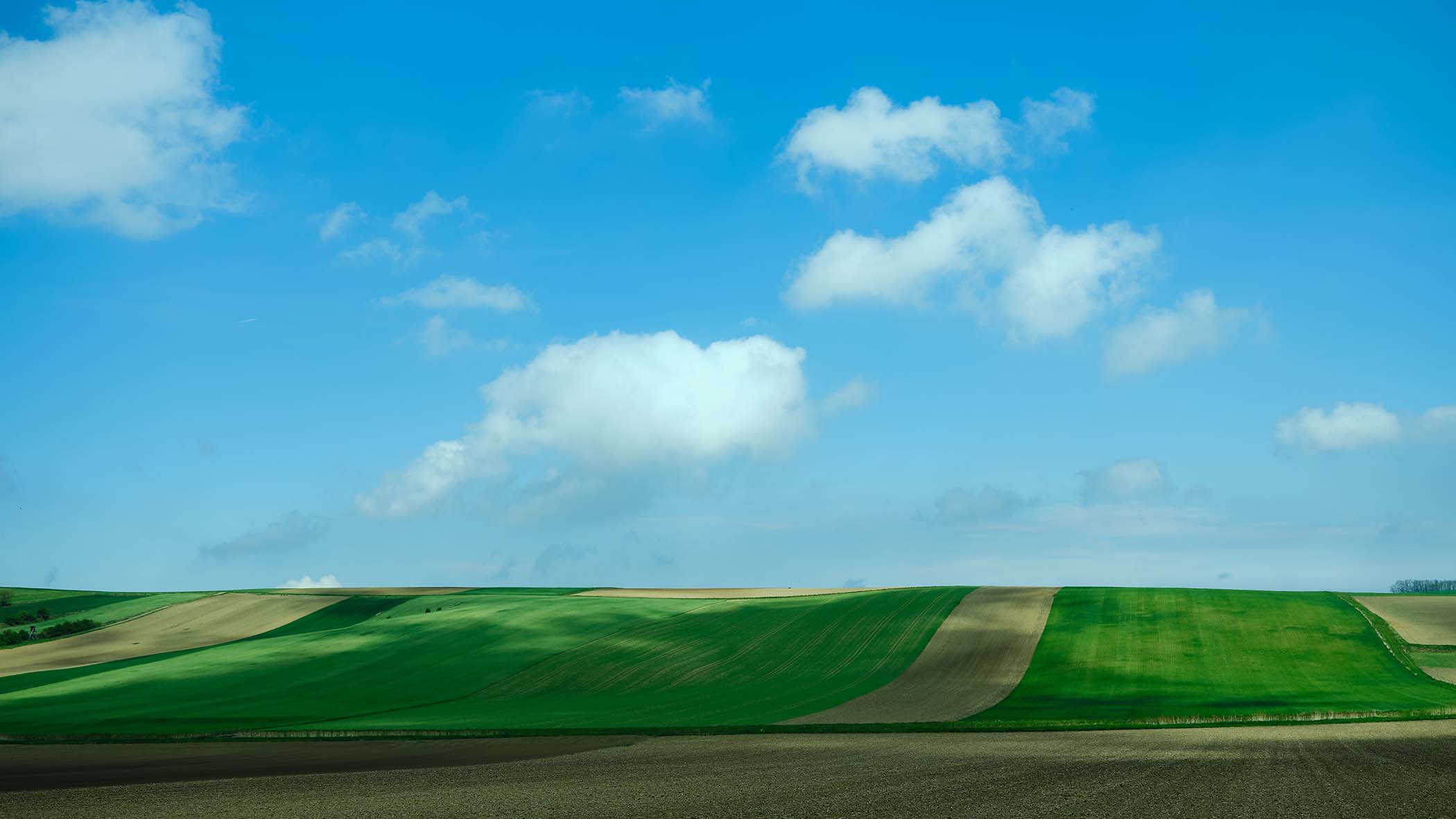 Reduzierte Landschaftsfotografie mit klaren Linien, Feldern und Himmel, Bildbearbeitung mit Fokus auf Tonalität und Ruhe – Atelier Schulte