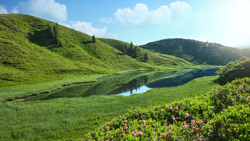 Grüne Hügellandschaft mit ruhigem Zollnersee und klarer Spiegelung im Licht – bewusst komponierte Landschaftsfotografie von Atelier Schulte.
