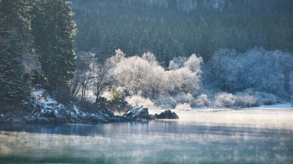 Ruhige Winterlandschaft mit Nebel und Licht am See, fotografiert mit bewusster Reduktion – Landschaftsfotografie von Atelier Schulte in Österreich.