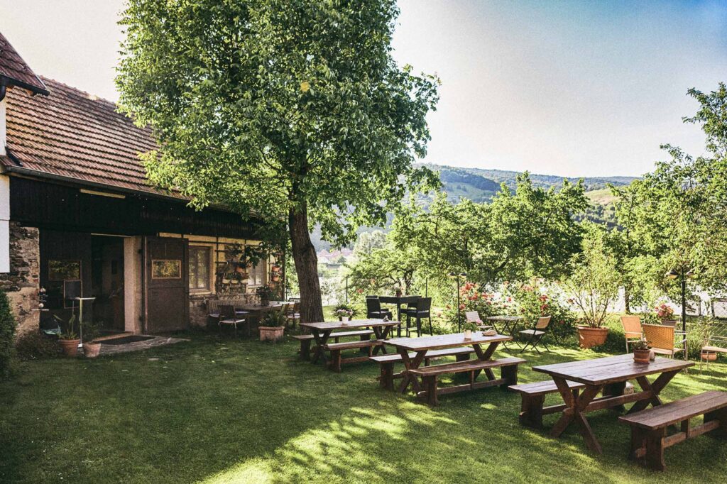 Sommerlicher Hofbereich in der Wachau mit Holzsitzbänken, alten Mauern und üppigem Grün – analoge Architekturreportage von Atelier Schulte über Licht, Atmosphäre und Außenräume.