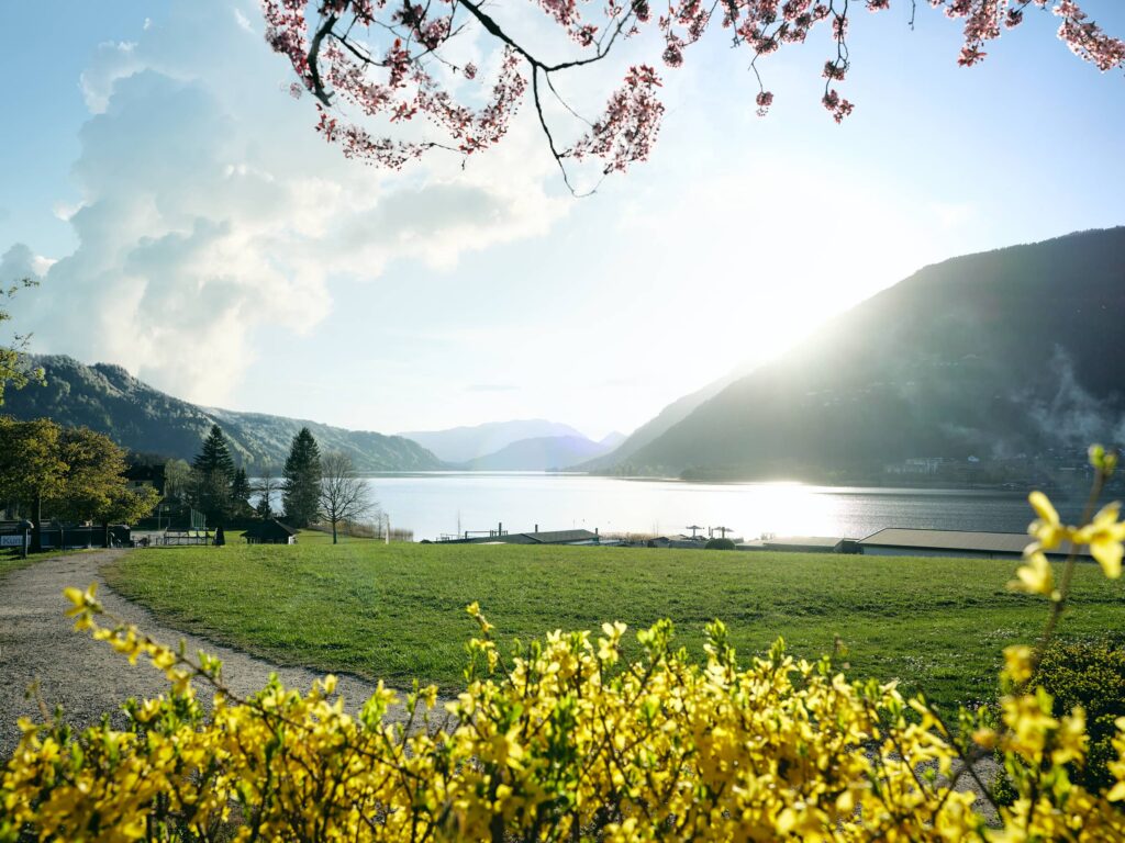 Frühling am Ossiacher See in Kärnten – Landschaftsfotografie mit Blick über Wiesen, Blüten und Wasser im warmen Abendlicht, aufgenommen von Fotograf Florian Schulte